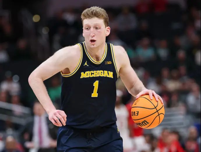 דני וולף, אוניברסיטת מישיגן