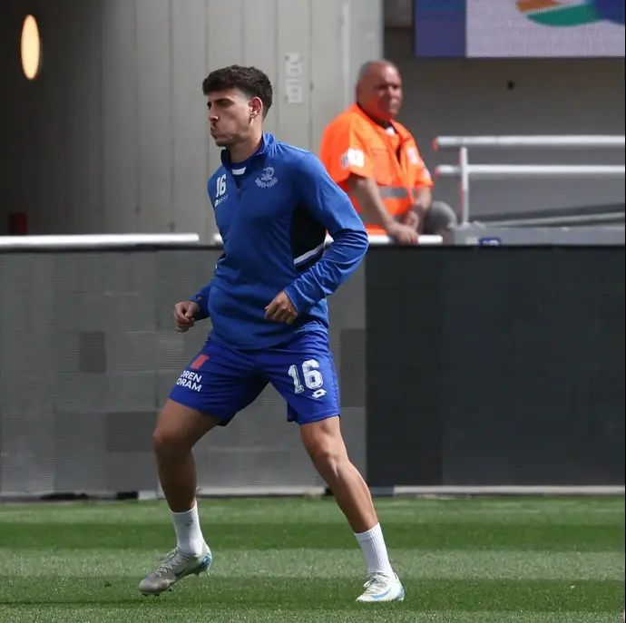 רועי דוד, שחקן הפועל פתח תקוה