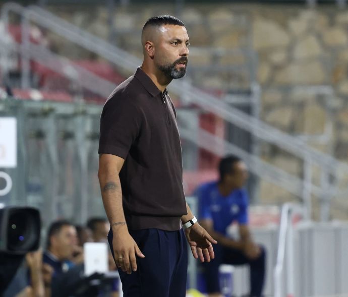 גל אראל, מאמן הפועל חיפה