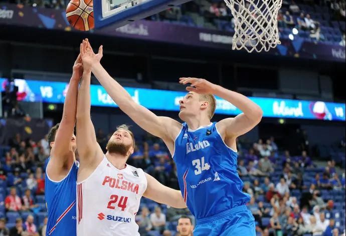 טריגווי הלינאסון, נבחרת איסלנד