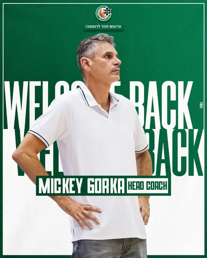 מיקי גורקה, מאמן מכבי חיפה