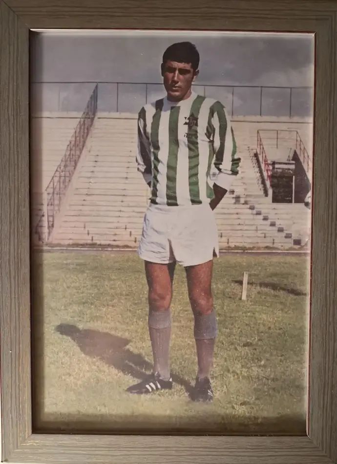 יואב לוי, מכבי חיפה