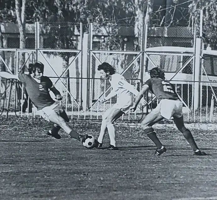 משה (גוגו) מורדכוביץ'