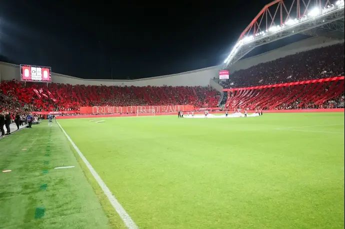 אוהדי הפועל תל אביב