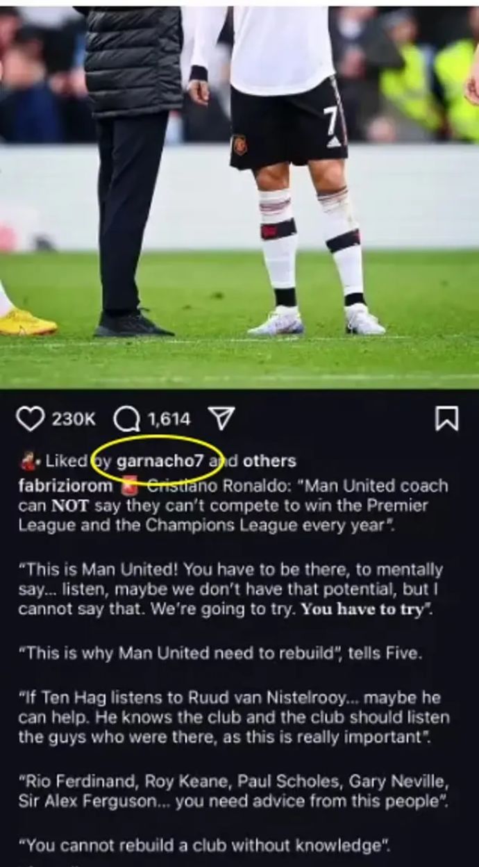 אלחנדרו גרנאצ'ו עושה לייק לפוסט שבו כריסטיאנו רונאלדו ביקר בחריפות את מאמן מנצ'סטר יונייטד אריק טן האח