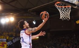 שיין לארקין