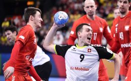 שוויץ פולין