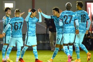 טאקומי מינאמינו