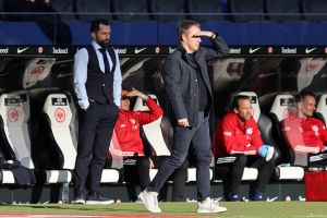 חסן סליהמידז'יץ', האנזי פליק