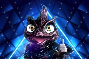 מאור בוזגלו מסתתר מאחורי הזיקית