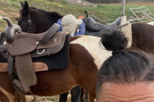 ליאור אסולין