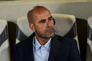 פטר בוס. לא מבינים