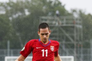 זיבקוביץ'. זהבי ופרטיזן במלחמה על שירותיו.