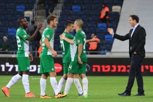 כמה מהם יהיו בירוק גם בקיץ?