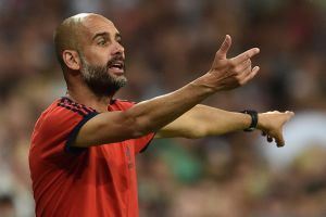 פפ. תמיכה רחבה