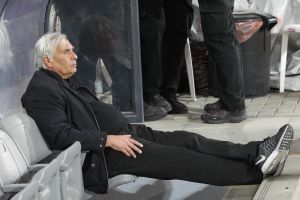 מזרחי. אופטימי תמיד