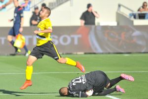 סבע. מבוקש גם בסכנין