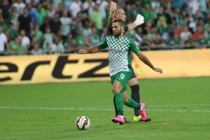 שכטר. נעלם גדול