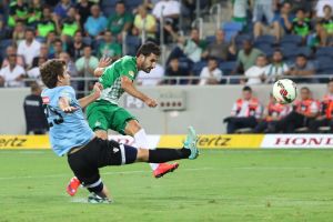 תורג'מן. יפרח בביתר?