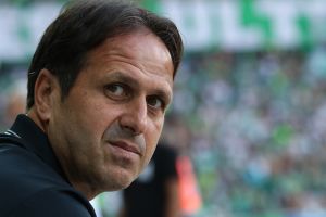 רוני לוי. גב רחב משחר