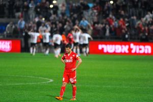 זגורי. ינחת בטדי?