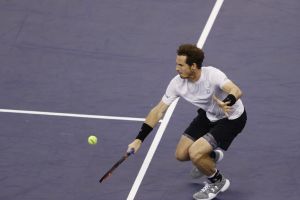 מארי. עלה לחצי הגמר