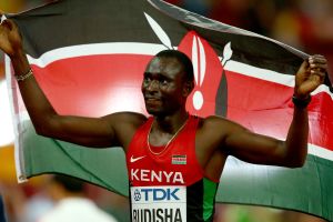 דייויד רודישה