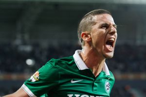 ורד חוגג בירוק. הרגשה של שחקן בית