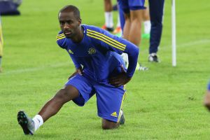 דסה. הצוות הניהולי יודע מה הוא עושה