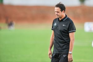 רוני לוי. השבחים על משומר לא שרדו את החורף