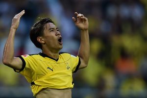 קגאווה. טיול בנורבגיה לצהובים-שחורים