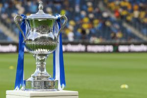 גביע המדינה