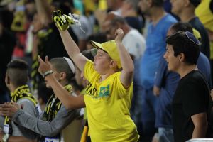 האוהדים בטדי בטירוף