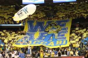 צהובים כואבים בהיכל