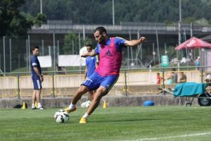 שפונגין. נוטה לפציעות