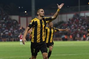 אצילי. גם דראפיץ' החמיא