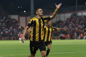 אצילי. מתעקש לפתוח את המומ רק בקיץ