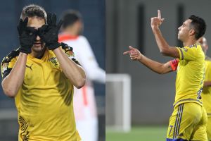 מנצנצים בשמיים. זהבי ואצילי