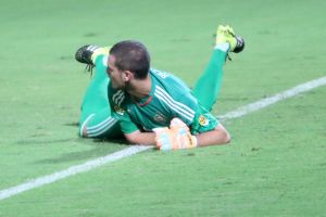 ראיקוביץ'. בטופ 10 של אירופה