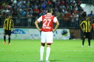 שאמי. תכונות מצוינות למגן