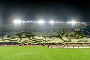 טדי. המערבי ייפתח