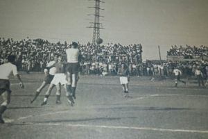 לוניה דבורין מגן על שערה של ביתר