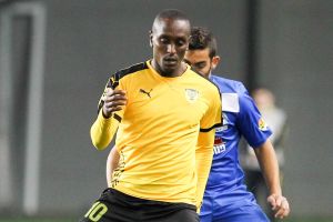 יגיע לשכונה? פרדה