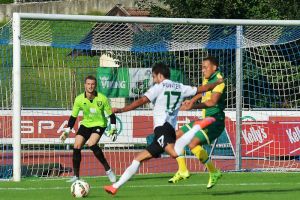 תורג'מן מול נוריץ'. הירוקים מתחברים