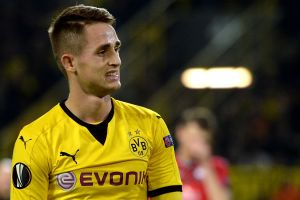 ינזואי. לא פרח בגרמניה