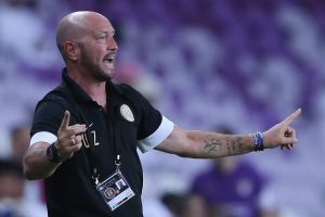 זנגה. הקמפיין האירופי צפוי להסתיים מהר מאוד מהצפוי