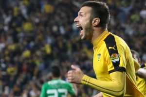 רוני לוי אישר. רוקאביצה