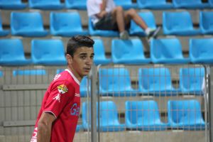 ביטון. היהלום החדש בנגב?