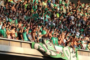 אוהדי מכבי חיפה. יש גם להקה