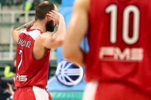 ספאנוליס עם התנועה המתגרה. הדליק את הענף